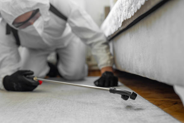 Professional Bed Bug Control technician working in Warner, OK